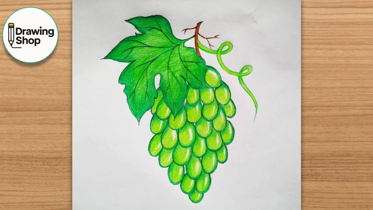 How to draw grapes - step by step | easy drawing
