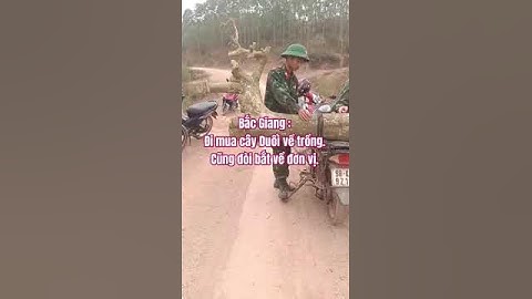 Bắc Giang :Đi mua cây Duối về trồng.Cũng đòi bắt về đơn vị.