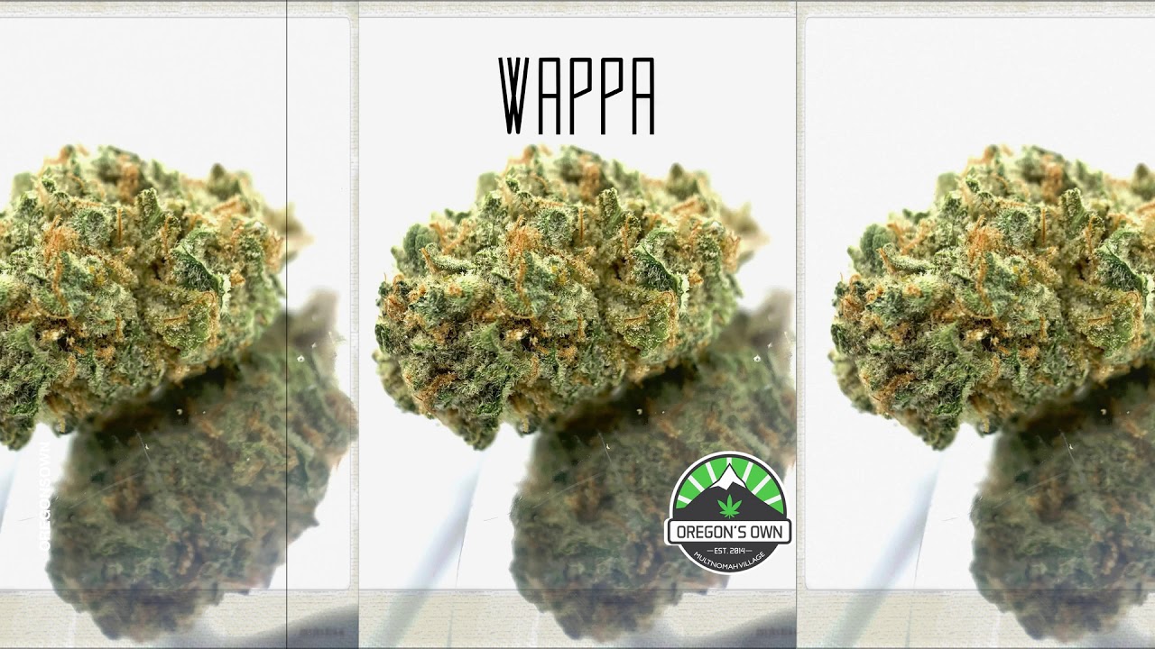 Oregon's Own: WAPPA: Now Available (OLCC Regulated Farm. 21+ nothing for sale on Youtube)