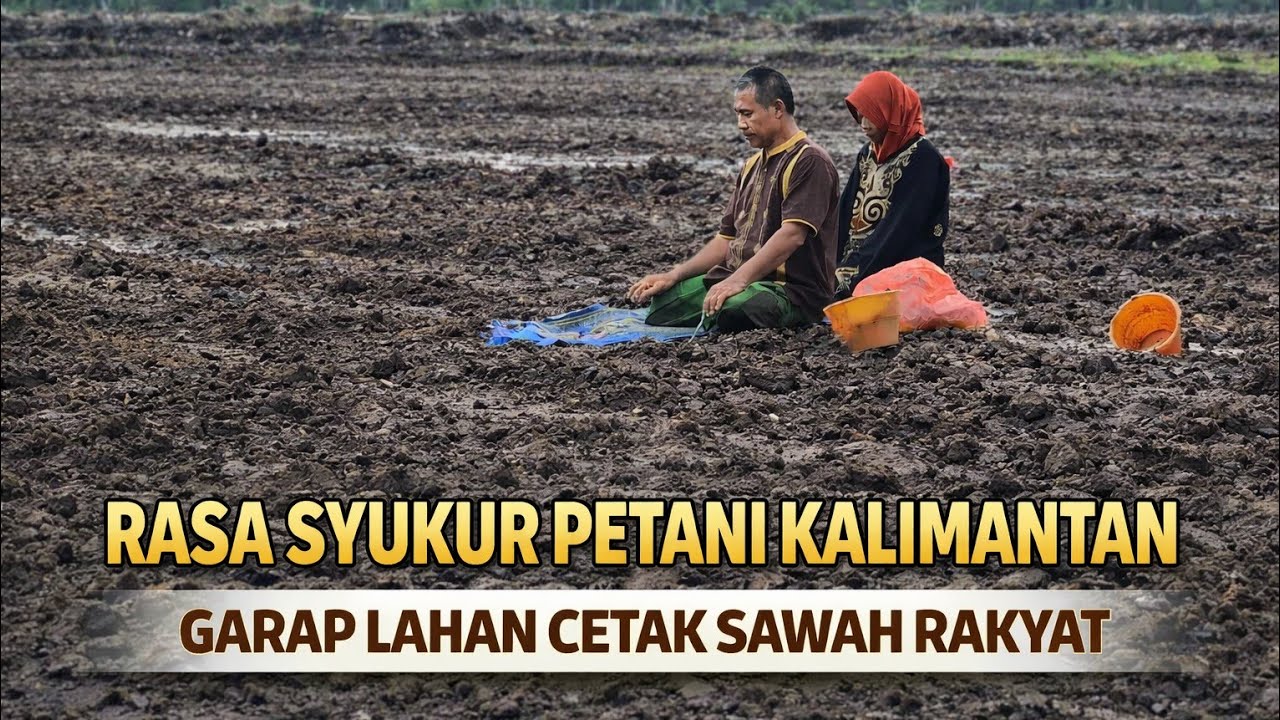 LAHAN DUA DIBUKA, PETANI TRANSMIGRASI SP9 BERSEMANGAT TANAM PADI DI LAHAN CETAK SAWAH RAKYAT