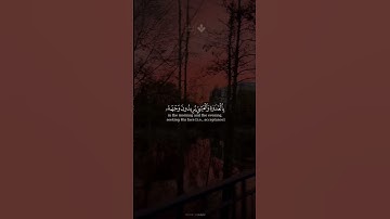 سورة الكهف نور مابين الجمعتين | الشيخ محمد صديق #المنشاوي #قرآن