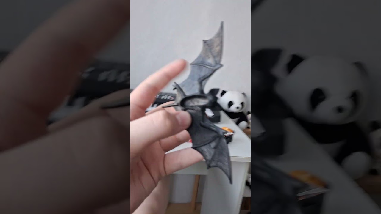 Nat Geo Wild Bat At the Zoo Sea Animals