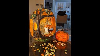 Pxl 20211028 184613704