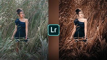 Lightroom brown colour effect photo editing tutorial | Lightroom background colour change