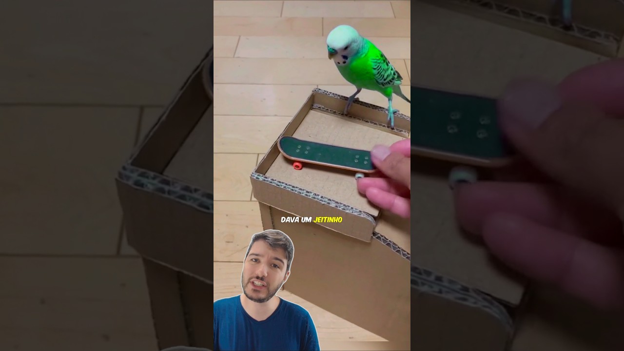 Jorginho o Periquito GÊNIO! 🦜
