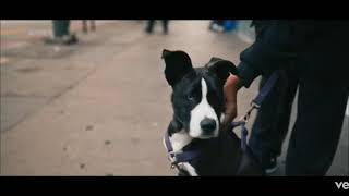 Intentions Justin Bieber Ft Quavo ! Intentions Justin Bieber Whatsapp Status ! Justin Bieber