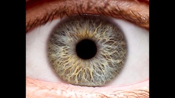 A device for the early detection of eyesight problems