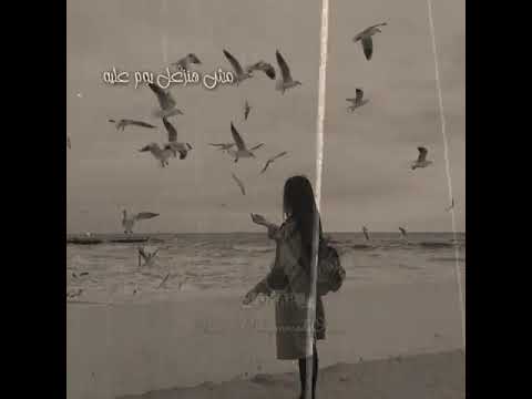 حالات واتس داليا اللي يمشي يمشي عادي 