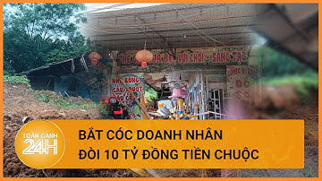 Giải cứu phó giám đốc bị bắt cóc, đòi 10 tỷ đồng tiền chuộc | Toàn cảnh 24h