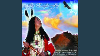 Fly Eagle Fly
