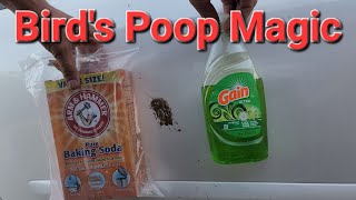 Bird's Poop Magic