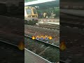 Train Accident With Dog Short Viral Youtubeshort mp3