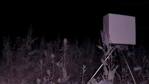 raspberrypiと赤外線カメラで畑を荒らす鹿の撮影に挑戦