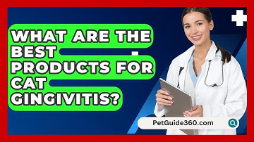 What Are The Best Products For Cat Gingivitis? - PetGuide360.com