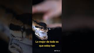 CodeDex Programming Challenge - 30 Días Novato HASTA Maestro