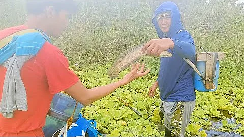 Naka dale na naman si forman kaso inabutan na nama...