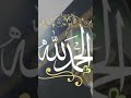 السنا أحق بقلب سليم السنا أحق بقلب سليم