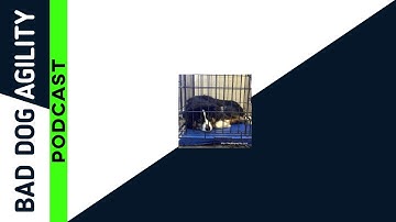 Agility Podcast #1 - Using a Crate During Training