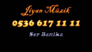 Ser Banika