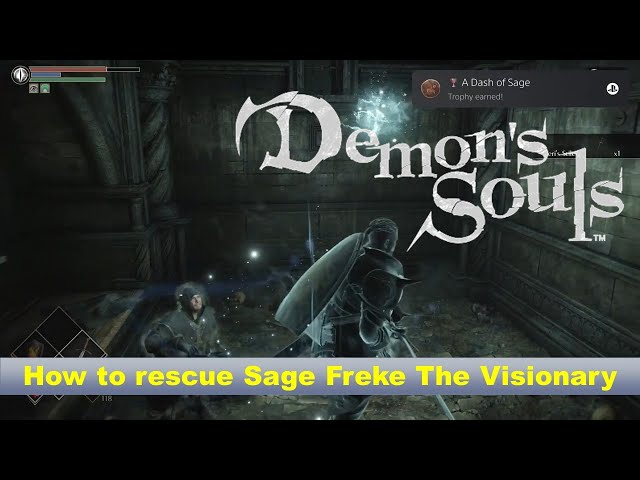 Sage Freke, the Visionary - Demon's Souls English Wiki