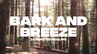 [ DEEPSLEEP ] BARK AND BREEZE