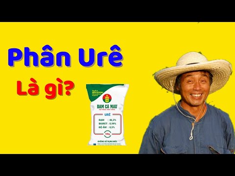 Làm vườn cùng Bác sĩ cây trồng: Phân Ure  là gì - Làm vườn cùng Bác Sĩ Cây Trồng - youtube