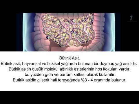 Video: Butirat Nədir