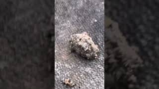 Zipper Head