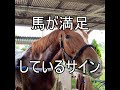 馬が満足しているサイン【乗馬・馬術】Sign that horse is satisfied【HorseCommunicationJapan】
