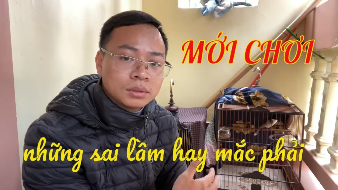 NHỮNG LƯU Ý AE MỚI CHƠI CHIM CHÀO MÀO HAY MẮC PHẢI ( nên xem )