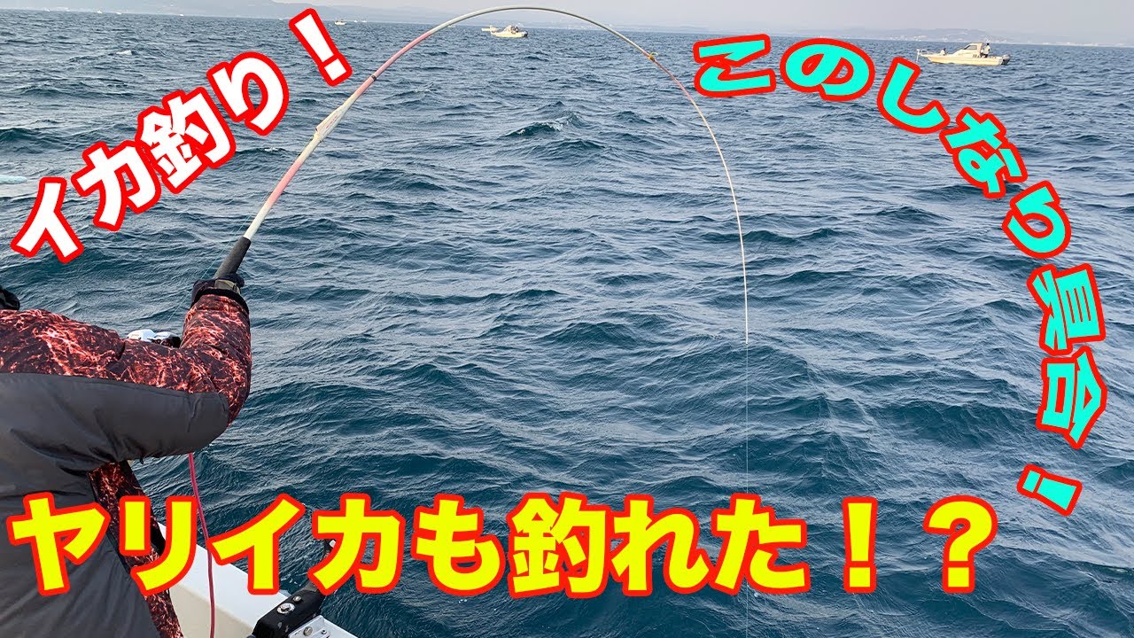 富山湾でイカ釣り ヤリイカもつれた Youtube