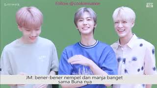 [FAKESUB NCT] QnA with JFamily