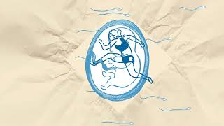 Zuzana Bergrová: Podezřelý ticho (Albatros Media/Motto)