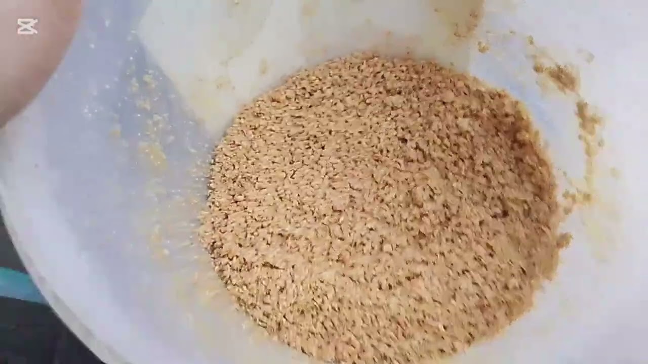 عزلنه افراخ الفناجس لا تنسونا بالايك والاشتراكَ 😊👍