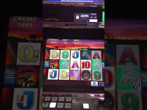 500 to 10,000 in 30 seconds with this gambling strategy 🤑 #dice #stake