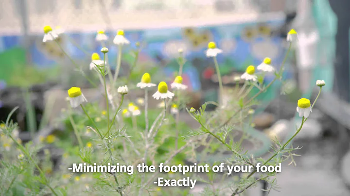 P&G The Everyday Effect. Earth Day