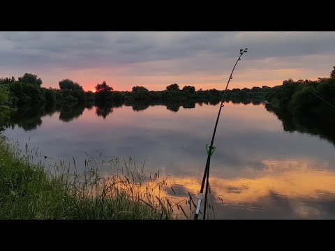 Рыбалка На Донки Крокодил. Рыбалка С Ночёвкой На Днепре. Лещ На Донки. Отличный Клёв Леща На Донки.