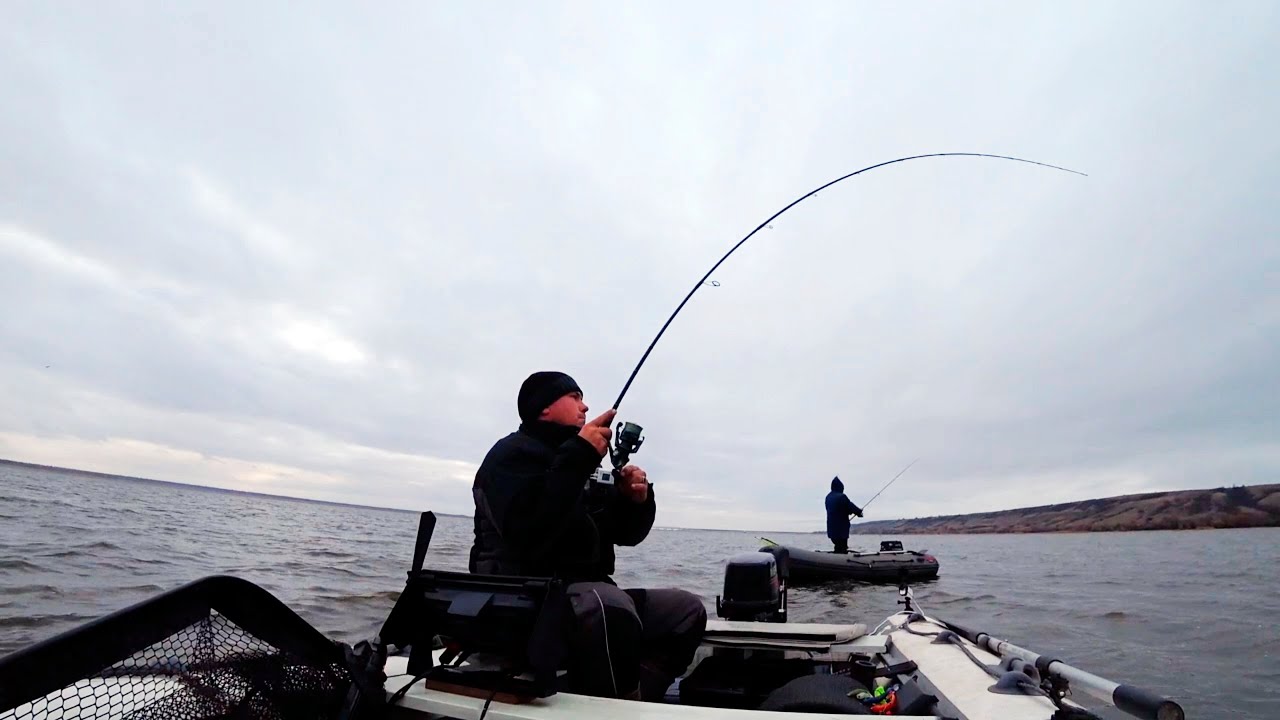 СОЗНАНИЕ В ШОКЕ! СУДАКИ. САЗАНЫ. ОКУНЬ ЗА КИЛО ! ЛЮТЫЙ ЖОР НА СПИННИНГ