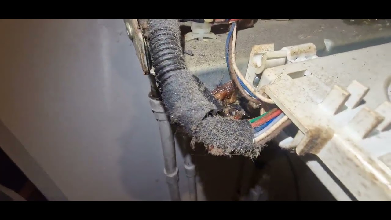 Service.PROTHERM Linix.Schimbator principal spart.15.01.26.Joi.