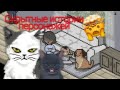 Скрытные истории персонажей в игре "A Street Cat's Tale"ʕ•ᴥ•ʔ