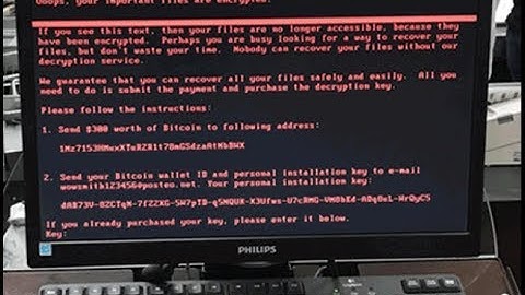 Global Ransomware Attack | Petya/NotPetya