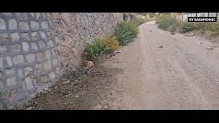 Yeşilli Tanitim Yeşil Vadi Projesi