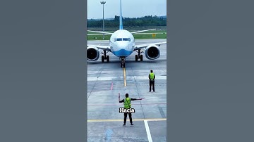 Héroe oculto del aeropuerto ¡La verdadera guía del piloto! #ytshorts #shortyz #shorts #facts #reels