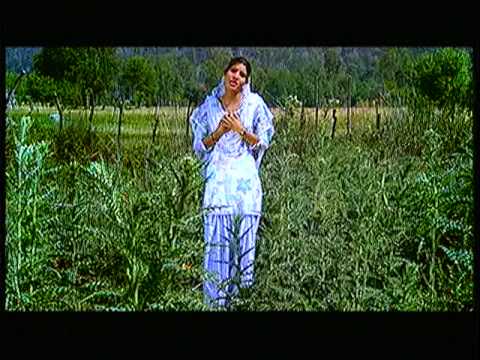 Jogiya Ne Mudake Nahin Aana Full Song Palo Darshan Jogi De