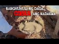 Nanghuhuli ng daga cobra ang nadakma  boss lar channel