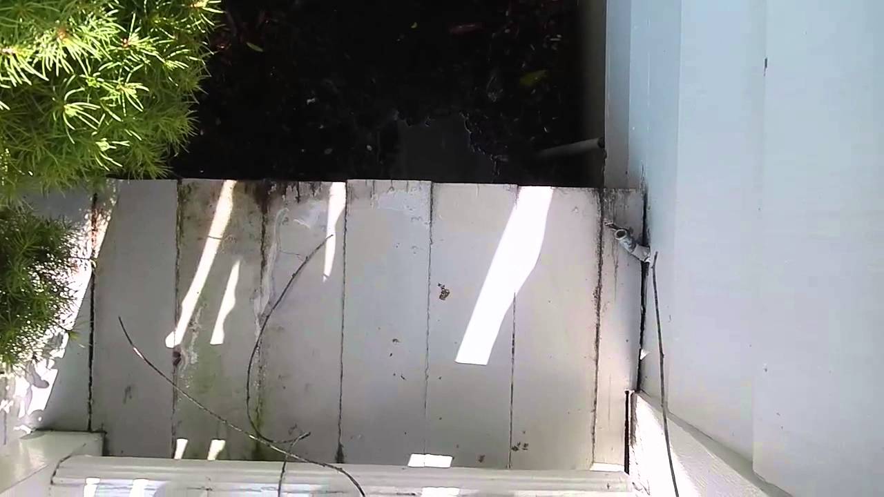 An Air Conditioner Discharge Pipe Leaks Onto Deck, Causes Rot and Pest