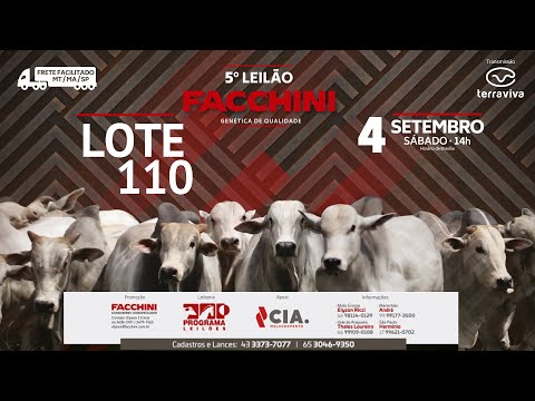 LOTE 110 - 5º LEILÃO FACCHINI 04/09/2021