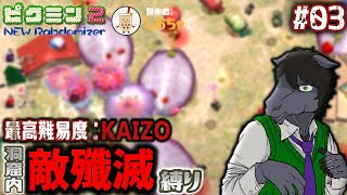 【ピクミン2 New Randomizer】洞窟内敵殲滅縛りに挑戦： 03【EquuStream V#443】