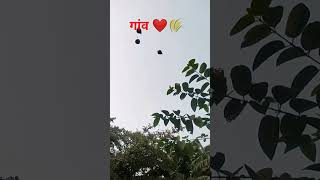 #farming #reels #shorts #trending #instagram #like #comment #kro #video #me #viralvideo #new