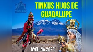 Tinkus Hijos De Guadalupe / Ayquina 2023.
